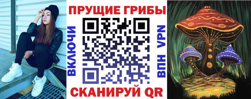 блэк спрут как войти  Орлов  Псилоцибиновые грибы мицелий 